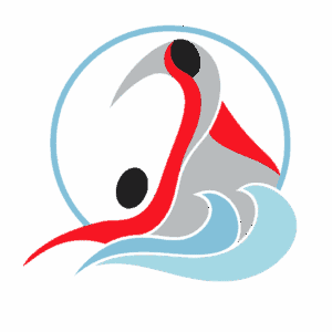 logo mwm